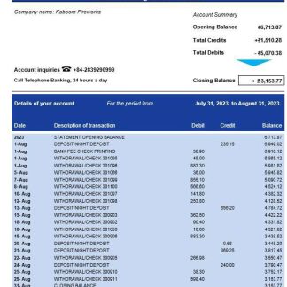 ACB Bank firm account statement Word and PDF template download template file