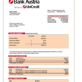 Bank Austria organization statement Word and PDF template download template file