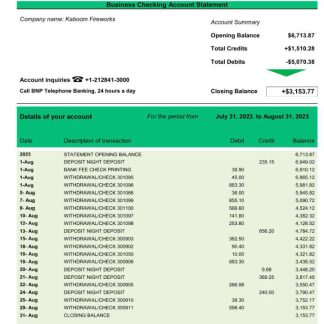Bank BNP Paribas company statement Word and PDF template download template file