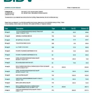 Bank for Investment and Development of Vietnam (BIDV) business statement Word and PDF template download template file