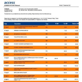 Access Bank company checking account statement Word and PDF template download template file