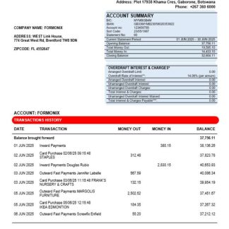Bank Gaborone business firm statement Word and PDF format download template file