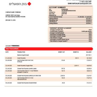 Bank Hapoalim firm account statement Word and PDF template download template file