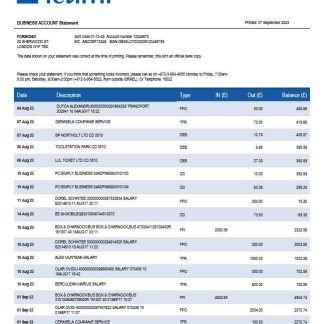 Bank Leumi business statement Word and PDF template download template file