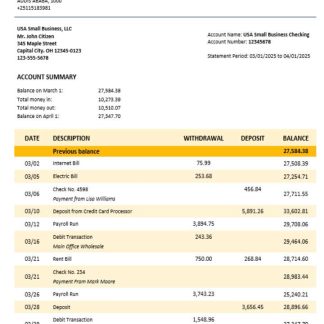 Bank of Abyssinia business bank statement Word and PDF format download template file