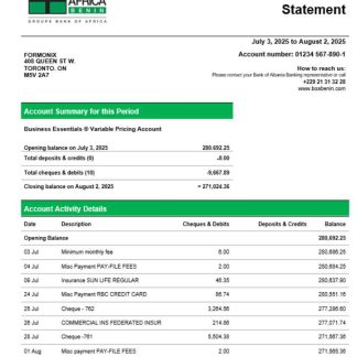 Bank of Africa company checking account statement Word and PDF template download template file