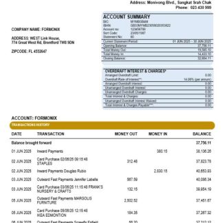 Acleda company statement Word and PDF format download template file