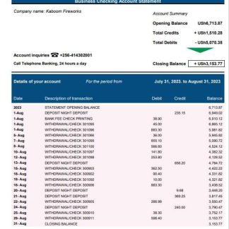 Bank of Africa enterprise account statement Word and PDF template download template file