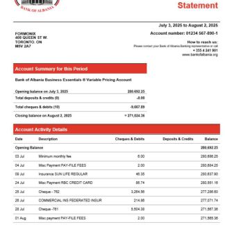 Bank of Albania business account statement Word and PDF template download template file