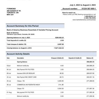 Bank of America business account statement Word and PDF template download template file
