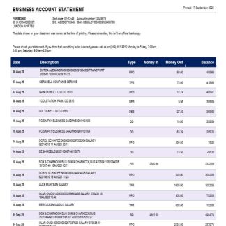 Bank of Bahamian firm account statement Word and PDF template download template file