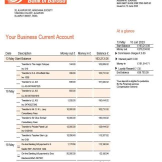 Bank of Baroda company checking account statement Word and PDF template download template file