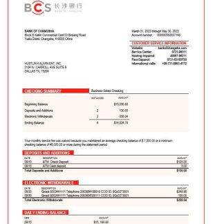 Bank of Changsha enterprise statement Word and PDF template download template file