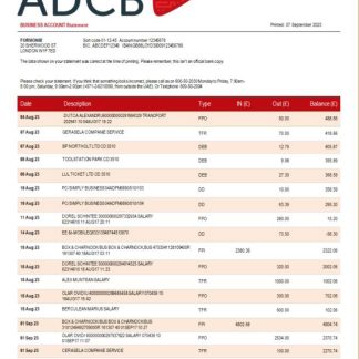 ADCB Bank company statement Word and PDF template download template file