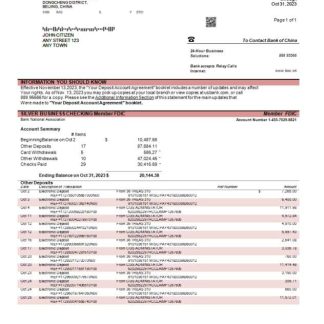 Bank of China enterprise statement Word and PDF template download template file