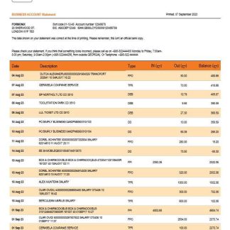 Bank of Georgia business checking account statement Word and PDF templat download template file