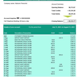 Bank of Hope company checking account statement Word and PDF template download template file
