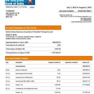 Bank of India company checking account statement Word and PDF template download template file