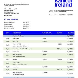 Bank of Ireland enterprise statement Word and PDF template download template file