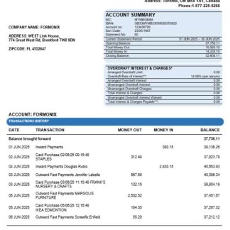 Bank of Montreal company statement Word and PDF format download template file