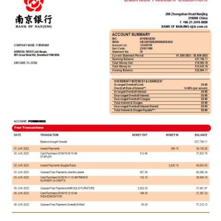 Bank of Nanjing corporate checking account statement Word and PDF template download template file