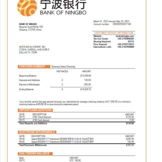 Bank of Ningbo business bank statement Word and PDF template download template file