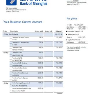 Bank of Shanghai firm account statement Word and PDF template download template file