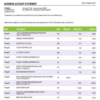 Bank of South Pacific business bank statement Word and PDF format download template file