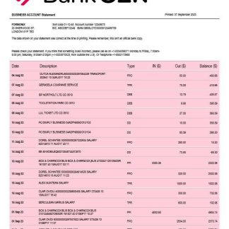 Bank of the Ozarks firm account statement Word and PDF template download template file