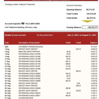 Bank of the Philippine Islands business statement Word and PDF template download template file