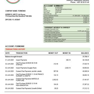 Bank of the Republic of Burundi company statement Word and PDF format download template file