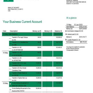 Bank of the West company checking account statement Word and PDF template download template file