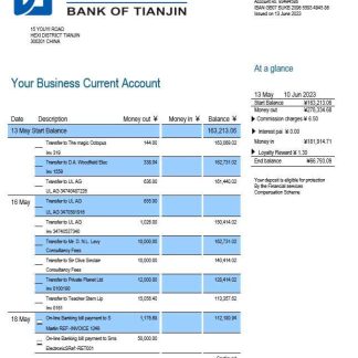 Bank of Tianjin business statement Word and PDF template download template file
