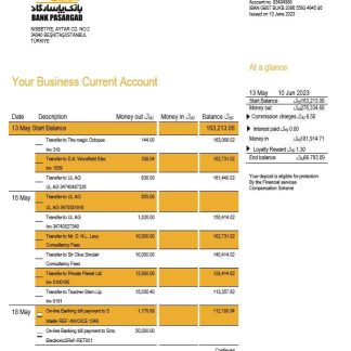 Bank Pasargad business statement Word and PDF template download template file