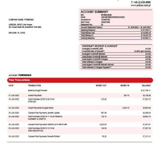 Bank Pekao S. A company statement Word and PDF template download template file