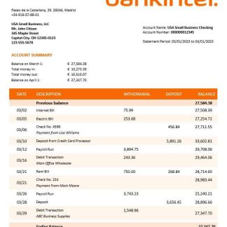 Bankinter enterprise statement Word and PDF template download template file