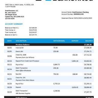 BankUnited enterprise account statement Word and PDF template download template file