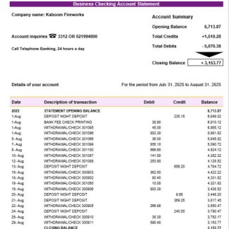Banque de Developement Local (BDL) business statement Word and PDF template download template file