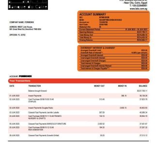 Banque du Caire company account statement Word and PDF template download template file