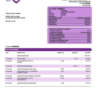 Banque Internationale a Luxembourg organization checking account statement Word and PDF template download template file