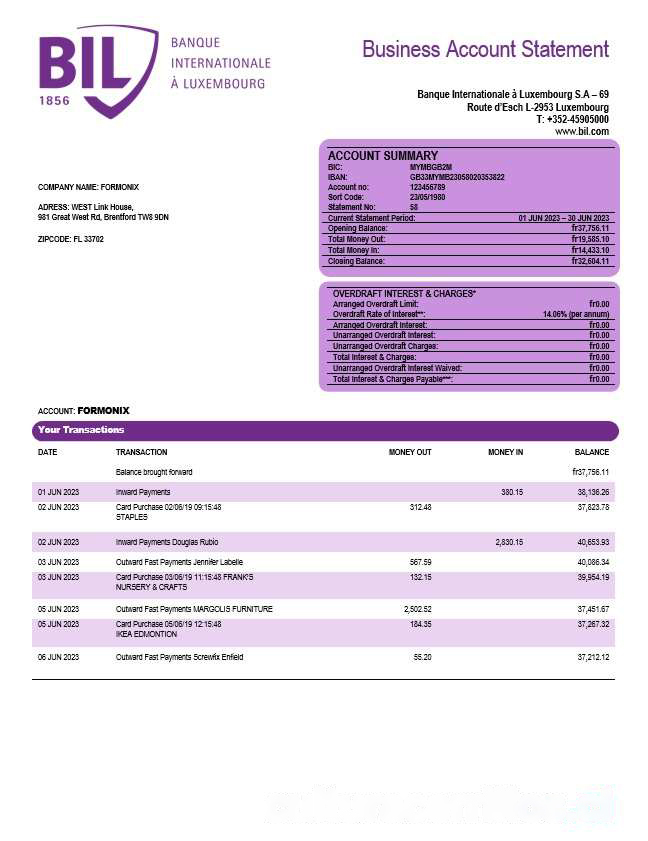 Banque Internationale a Luxembourg organization checking account statement Word and PDF template download template file
