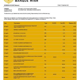 Banque Misr organization checking account statement Word and PDF template download template file