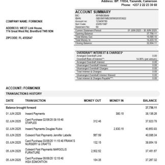 Afriland First organization checking account statement Word and PDF template download template file