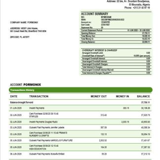 Banque nationale d??Alg??rie (BNA) enterprise account statement Word and PDF template download template file