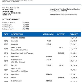 Basis Bank company statement Word and PDF format download template file