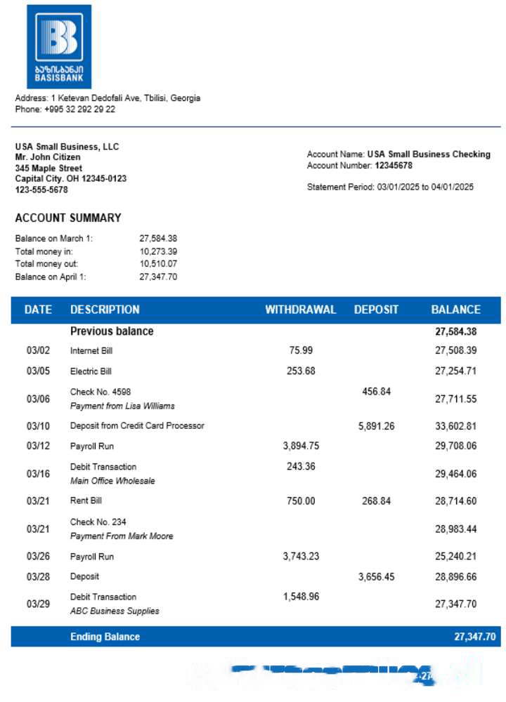 Basis Bank company statement Word and PDF format download template file