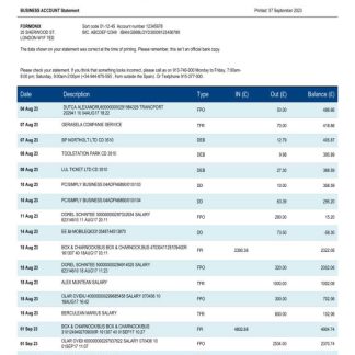 BBVA Bank organization statement Word and PDF template download template file