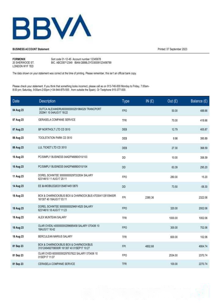 BBVA Bank organization statement Word and PDF template download template file