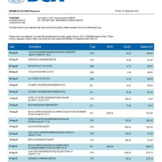 BCA Bank organization statement Word and PDF template download template file