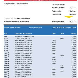 BCI Bank company account statement Word and PDF template download template file